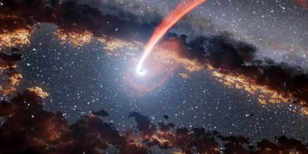 سیاه چاله ها تعیین میکنند که چه ستاره هایی متولد شوند