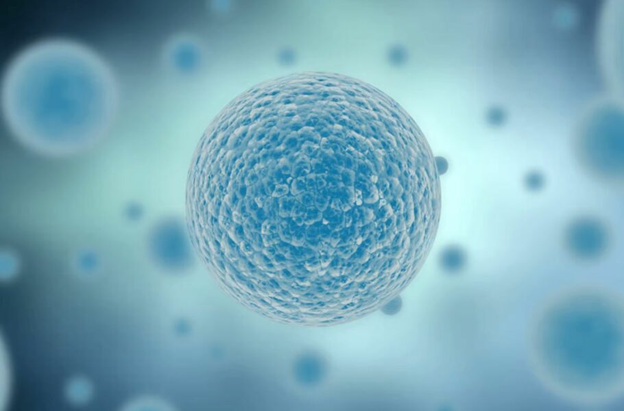 گونه‌های حیات مصنوعی می‌توانند آینده پزشکی و داروها را متحول کنند